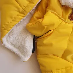 کاپشن پسرانه تدی