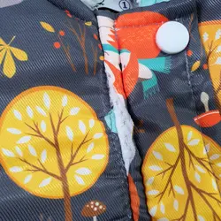 کاپشن روباه(ایراددار)