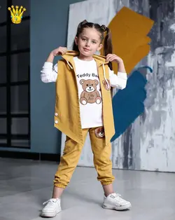 سه تیکه تدی پشمالو