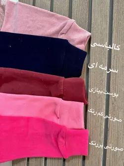 هودی پولیشی خرسی