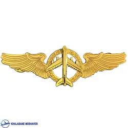 وینگ هواپیما