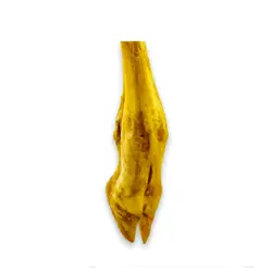 اسنک پاچه بره