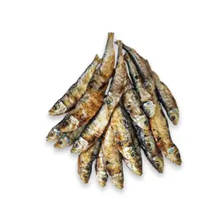 جرکی ماهی کیلکا