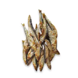 جرکی ماهی کیلکا