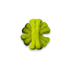 دنتال استخوان کوچک