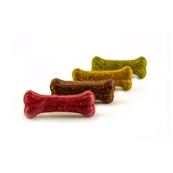 مانچی به شکل استخوان بزرگ