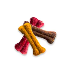 مانچی به شکل استخوان کوچک