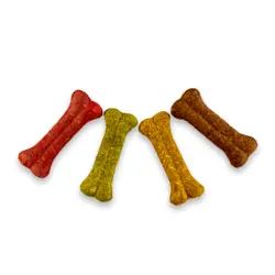 مانچی به شکل استخوان کوچک