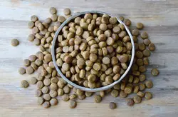 خوراک ماهی کپور معمولی