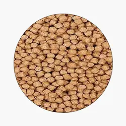 خوراک ماهی خاویار (EX-A G5)