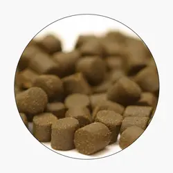 خوراک ماهی قزل آلای رنگین کمان (EXG2)