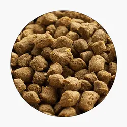 خوراک ماهی قزل آلای رنگین کمان (EXG3)