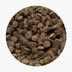 خوراک ماهی قزل آلای رنگین کمان (EXG4)