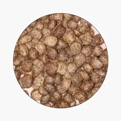 خوراک ماهی قزل آلای رنگین کمان (EXS0)