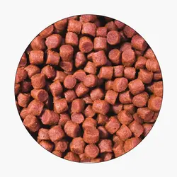 خوراک ماهی قزل آلای رنگین کمان (EXG1)