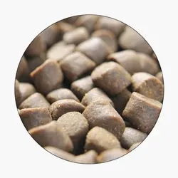 خوراک ماهی قزل آلای رنگین کمان (EXS2)