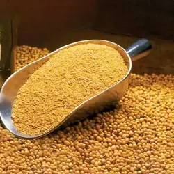 کنجاله سویا دامی مهدانه