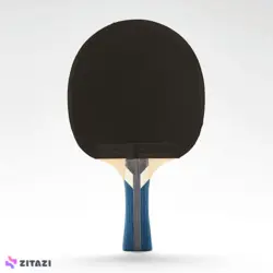 راکت پینگ پنگ مدل PONGORI Table Tennis Racket TTR 100 ALLROUND