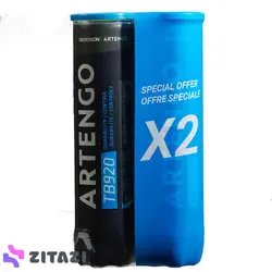 توپ تنیس آرتنگو مدل Artengo TB920