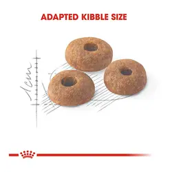 غذای گربه بالغ رگیولار فیت رویال کنین – Royal Canin Regular Fit 32 10 Kg