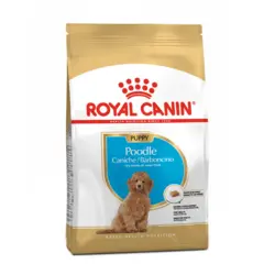 غذای سگ پاپی پودل رویال کنین – Royal Canin Poodle Puppy 3 Kg