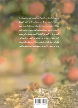 کوچه باغ انار؛ به ماندنم عادت نکن - (روایتی ادبی از زندگی شهید مدافع حرم، سید احسان میرسیار بر اساس خاطرات سیده فاطمه میرکریم پور، همسر شهید)