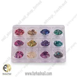 پک دیزاین صدف طبیعی