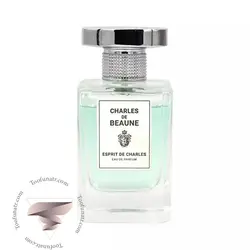 عطر ادکلن چارلز د بون اسپریت د چارلز - Charles De Beaune Espirit De Charles - طوفان عطر - فروشگاه تخصصی عطر و ادکلن اورجینال