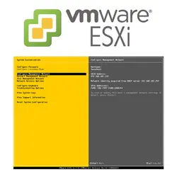 مجازی سازی سرور با VMware ESXi