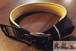 قلاده گردنی فرپلاست