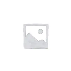 شومینه بخار ST-1001