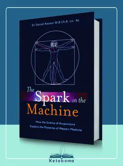 دانلود کتاب Spark in the Machine