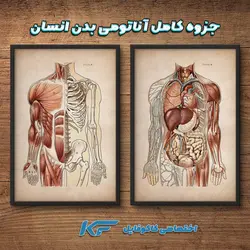 دانلود جزوه PDF نکات کلی آناتومی دانشگاه تهران