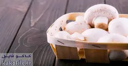 دانلود پاورپوینت اثرمدیریت جنگل روی بازدهی قارچ