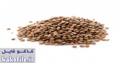 دانلود پاورپوینت عدس