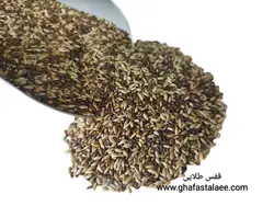 مغز تخم کتان