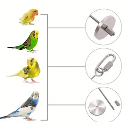 سیخ میوه ای طوطی سانان