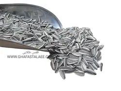 تخمه خام ریز