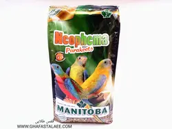 دان مخلوط متوسط جثه منیتوبا