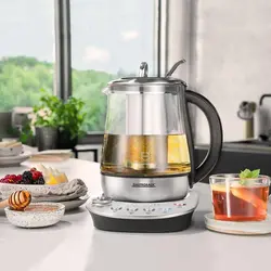 چای ساز و دمنوش ساز GASTROBACK مدل 42434