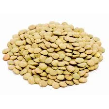 عدس ریز کانادایی  - 500 گرم