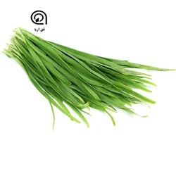 تره یک بسته