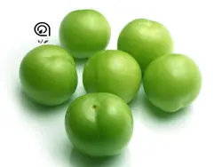 گوجه سبز -نیم کیلو گرم