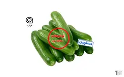 خیار دستچین شده - یک کیلو گرم