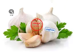 سیر خشک دستچین شده-نیم کیلو گرم