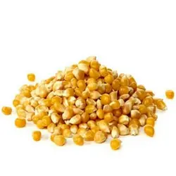 دانه ذرت پفیلا- 500 گرم