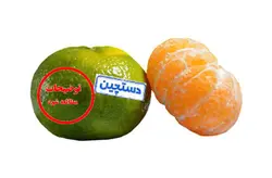 نارنگی دست چین شده - یک کیلو گرم