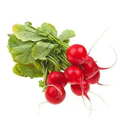 تربچه تازه- یک بسته