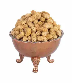 توت خشک فله- 100 گرم