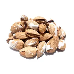 بادام پوست کاغذی- 100 گرم